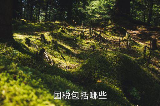 國(guó)家稅務(wù)局包括什么，國(guó)稅包括哪些