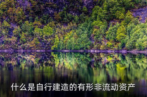 什么叫自建不動(dòng)產(chǎn)，自建不動(dòng)產(chǎn)不共擔(dān)風(fēng)險(xiǎn)的投資行為