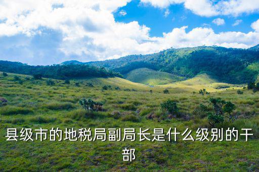 地稅副巡視員什么級(jí)別，縣級(jí)市的地稅局副局長(zhǎng)是什么級(jí)別的干部