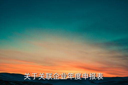 什么是關聯申報表，小規(guī)模納稅人2013年年報年度關聯企業(yè)申報表怎么填