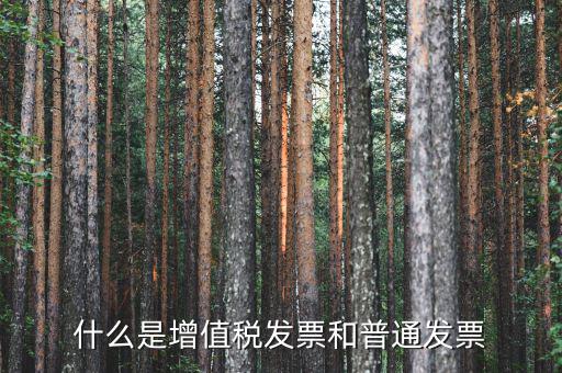 增值稅普通發(fā)票卷票是什么，卷票和普通增值稅發(fā)票有什么區(qū)別嗎