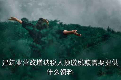 預(yù)繳稅款要什么資料，到國(guó)稅局預(yù)交稅款需要帶什么東西