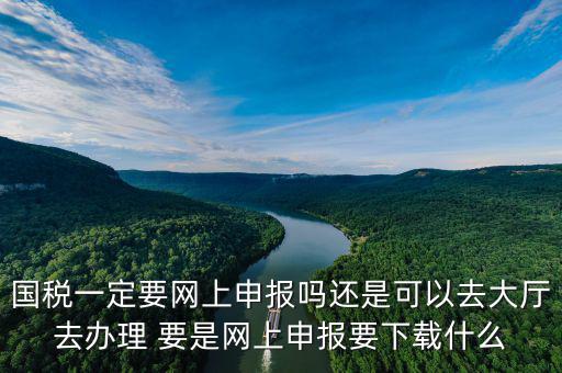 地稅進(jìn)國(guó)稅要下載什么，深圳國(guó)地稅想網(wǎng)上申報(bào)要下載什么東西嗎