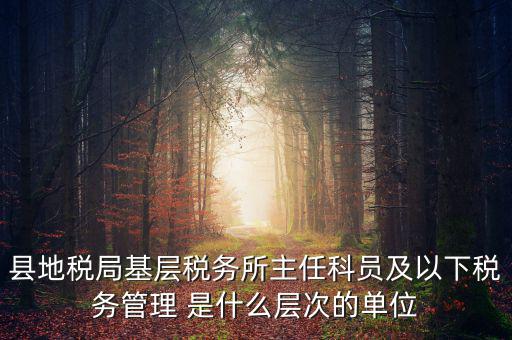 地稅局主任干什么，在地稅局工作寫材料具體是怎么工作