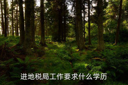 地稅上班要會(huì)什么最低學(xué)歷，要去地稅局上班都要學(xué)些什么啊