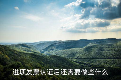 核定發(fā)票后發(fā)行后還坐什么，認(rèn)證完發(fā)票在干什么