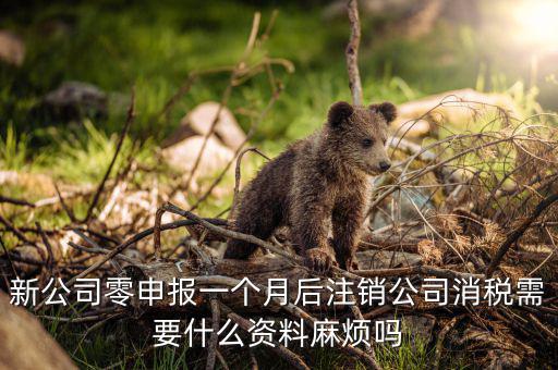 注銷稅盤需要什么資料，新公司零申報(bào)一個(gè)月后注銷公司消稅需要什么資料麻煩嗎