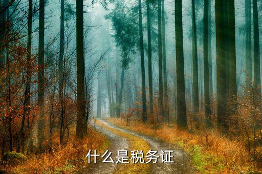 什么是稅務(wù)登記證，什么是稅務(wù)證