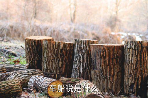 保險(xiǎn)的車(chē)船稅是什么意思，車(chē)船稅是什么