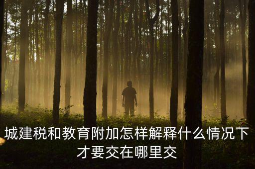 什么時(shí)候有教育費(fèi)附加，子女教育專(zhuān)項(xiàng)附加扣除的起始時(shí)間
