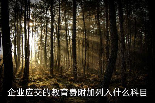 教育費(fèi)附加干什么，教育費(fèi)附加代表什么意思