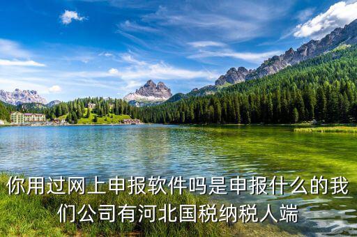 國稅人像采集是什么意思，你用過網(wǎng)上申報(bào)軟件嗎是申報(bào)什么的我們公司有河北國稅納稅人端