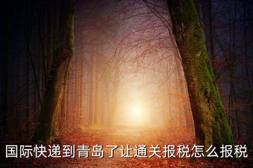 青島物流公司拿什么稅，國際快遞到青島了讓通關(guān)報(bào)稅怎么報(bào)稅