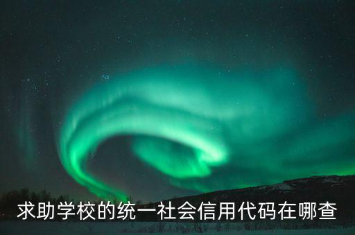 學(xué)校的社會信用代碼是什么東西，求助學(xué)校的統(tǒng)一社會信用代碼在哪查