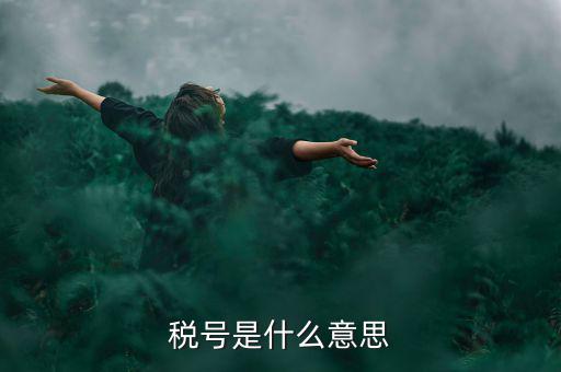 納稅號碼是什么意思，稅號是什么意思