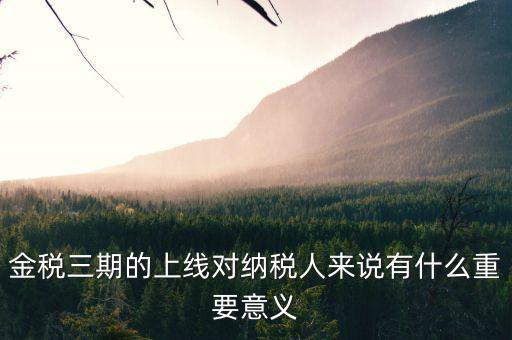 金稅三期的重點(diǎn)是什么意思，金稅三期是什么意思