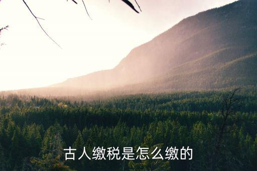 古代稅收交什么，古人繳稅是怎么繳的