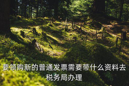 發(fā)票領(lǐng)購本需要帶什么，去國稅局報稅需要發(fā)票領(lǐng)購簿嗎都需要帶什么大神們幫幫忙