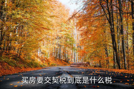 契稅的征稅范圍是什么，契稅的征稅范圍主要有哪些