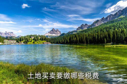 公司買地需要交什么稅，房地產(chǎn)開發(fā)公司買土地要交什么稅