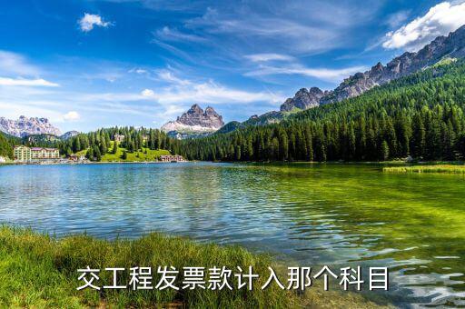 工程發(fā)票的單位是什么，開工程票是在國稅還是地稅代開