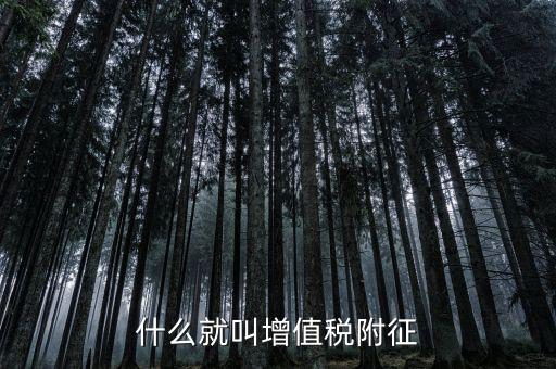 什么是增值稅及附加稅，什么就叫增值稅附征