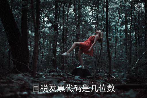 發(fā)票代碼是什么位置，國稅普票代碼是幾位數(shù)字在什么位置
