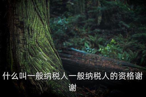 什么是一般納稅人資格證嗎，什么叫一般納稅人一般納稅人的資格謝謝