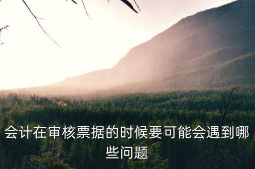 審核憑證會出什么問題，在審核憑證時出現(xiàn)這個問題是怎么回事