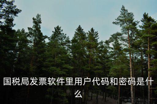 網(wǎng)絡(luò)發(fā)票 登錄密碼是什么，國稅局發(fā)票軟件里用戶代碼和密碼是什么