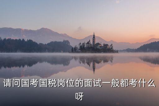 國稅標兵人才考什么，國稅通用能力測試考什么
