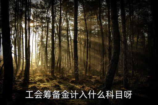 什么是工會(huì)籌備金，工會(huì)籌備金計(jì)入什么科目呀
