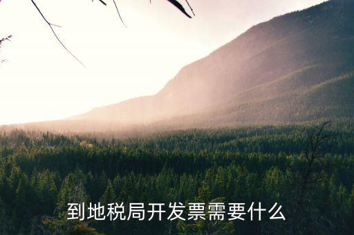 去地稅領(lǐng)發(fā)票需要什么，申請(qǐng)地稅發(fā)票需要什么資料