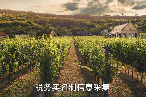 實名采集需要什么資料，實名制驗證身份證信息采集有沒有這種身份證證件識別方式  搜