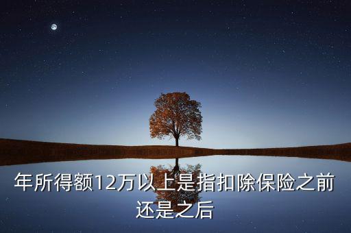 年所得12萬指的是什么，年所得12萬元以上是指什么