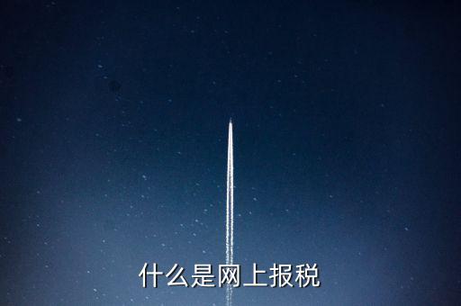 網(wǎng)上報(bào)稅是指報(bào)什么稅，網(wǎng)上報(bào)稅 是報(bào)的什么