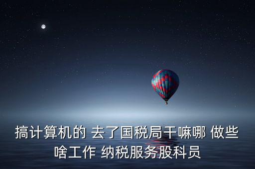 納服科是什么，搞計算機的 去了國稅局干嘛哪 做些啥工作 納稅服務股科員