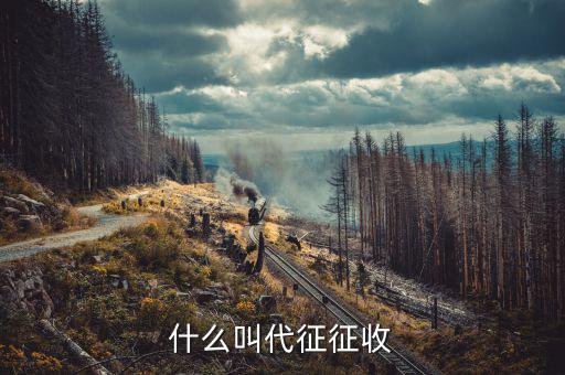 什么叫代征規(guī)費，什么是規(guī)費