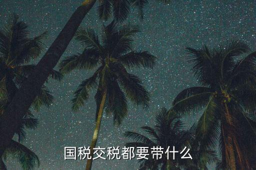 國稅錄指紋需要帶什么，國稅交稅都要帶什么