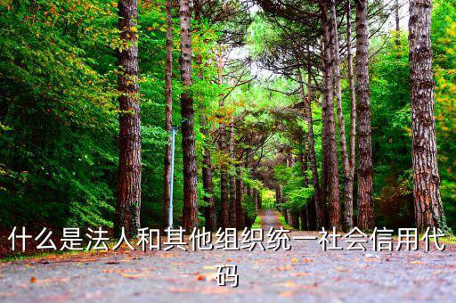 機關(guān)有社會信用代碼是什么意思，社會信用代碼與機構(gòu)信用代碼有什么不同