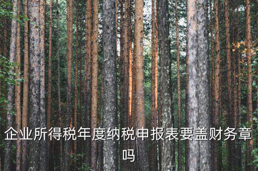 所得稅年報要蓋什么章，企業(yè)所得稅年度納稅申報表要蓋財務(wù)章嗎