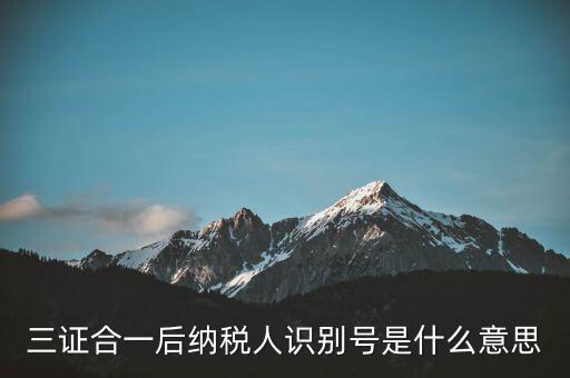 三證合一稅務(wù)識別號是什么意思，三證合一后納稅人識別號是什么意思
