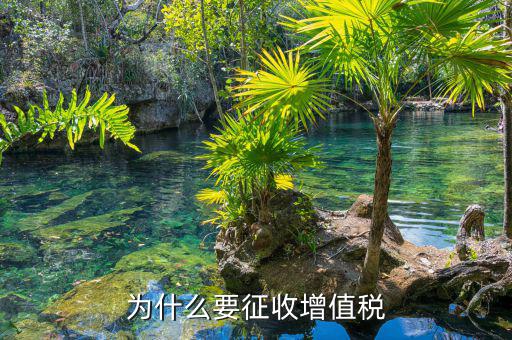 境外勞務(wù)為什么要交增值稅，為什么要交增值稅