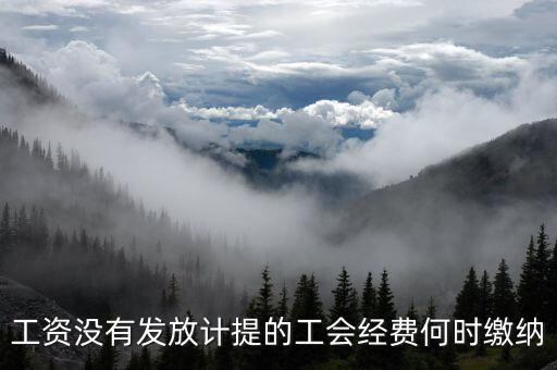 工資沒有發(fā)放計(jì)提的工會經(jīng)費(fèi)何時繳納