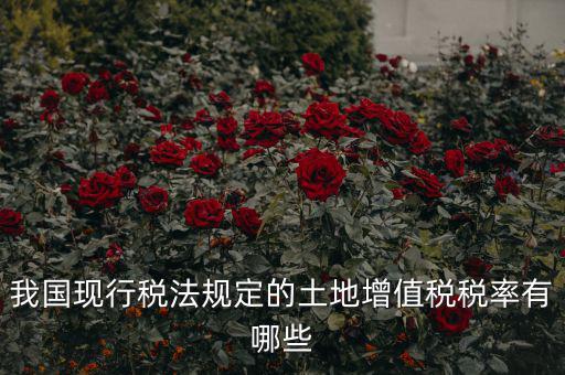 土地增值稅采用什么稅率，土地增值稅應(yīng)用于哪種稅率形式