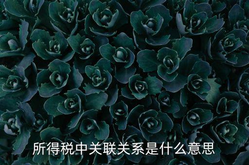 所得稅關聯(lián)表是什么意思，所得稅中關聯(lián)關系是什么意思