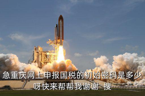 網上國稅申報的密碼是什么，急重慶網上申報國稅的初始密碼是多少呀快來幫幫我謝謝  搜