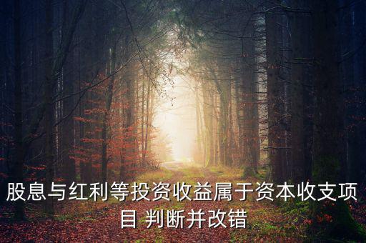 股息紅利等投資收益屬于什么，股息與紅利等投資收益屬于資本收支項目 判斷并改錯