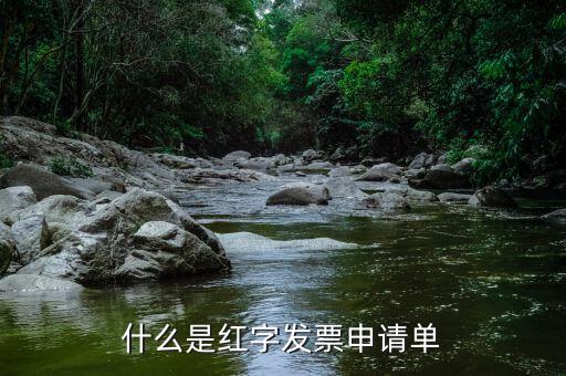 紅字申請(qǐng)單是什么意思，由銷售方申請(qǐng)開具紅字發(fā)票是什么意思