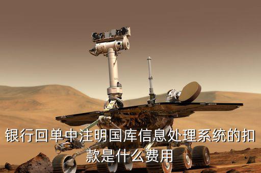 國家金庫扣款什么意思，什么是財(cái)稅庫銀實(shí)時(shí)扣款用戶
